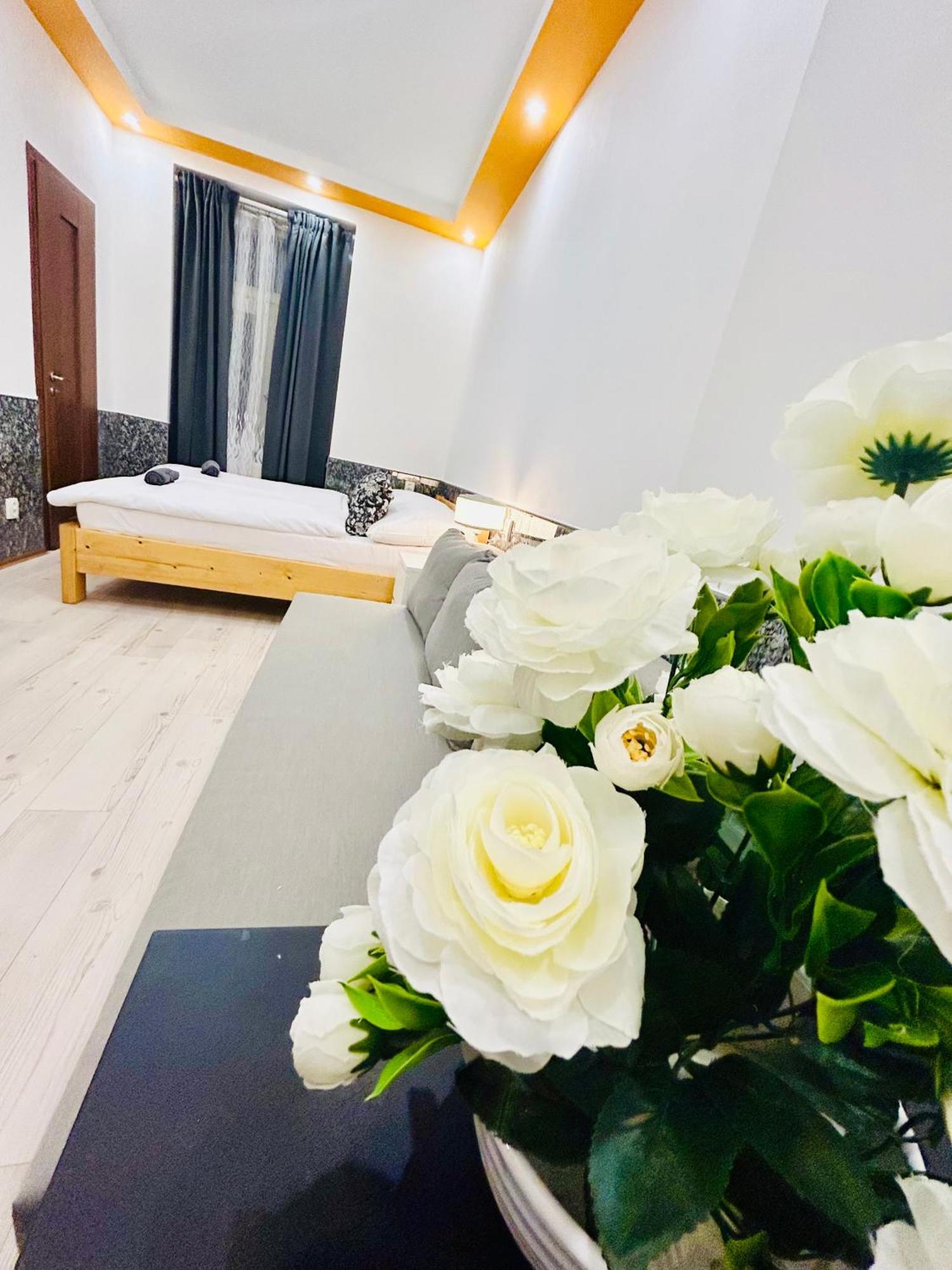 Modern Spacious In Center * Prague